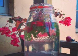 Mint Strawberry Water Infusion