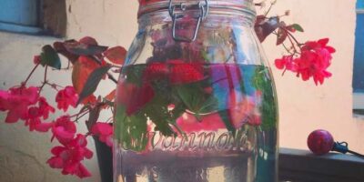Mint Strawberry Water Infusion