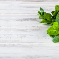 Peppermint-Essential-Oil-Uses-and-Benefits-h