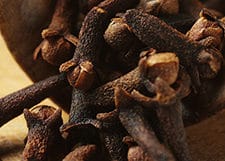 Clove Essential Oil Uses and Benefits