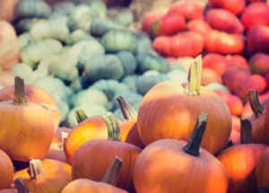 Healthy Fall Recipes from the Farmer’s Market