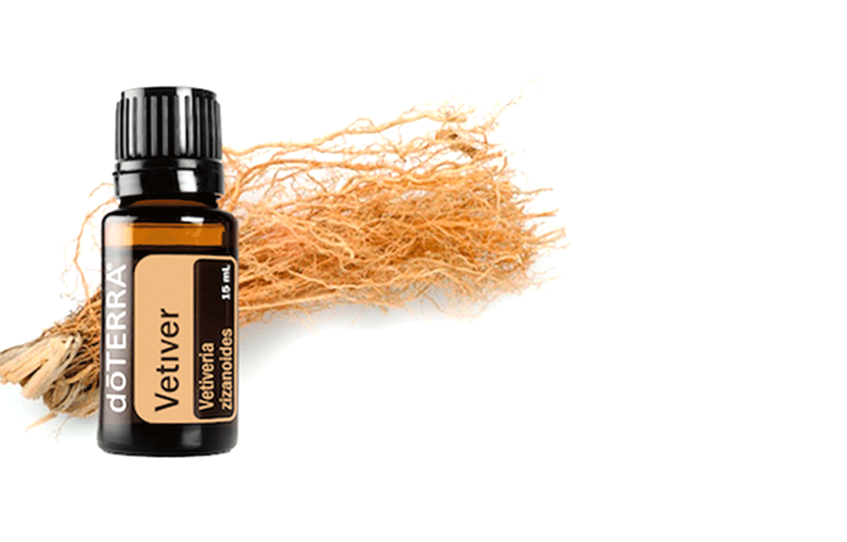 Vetiver - Benefits and Uses - HYSSES