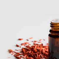 Sandalwood-Essential-Oil-Uses-and-Benefits-f