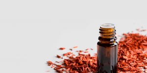 Sandalwood Essential Oil Uses and Benefits