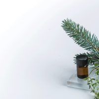 Black-Spruce-Essential-Oil-Uses-and-Benefits-F