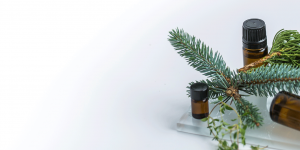 Black Spruce Essential Oil Uses and Benefits