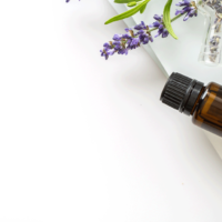 Lavender-Essential-Oil-Uses-and-Benefits-f