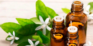 Neroli Essential Oil Uses and Benefits