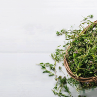 Thyme-Essential-Oil-Uses-and-Benefits-h