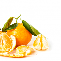 Tangerine-Essential-Oil-Uses-and-Benefits-f