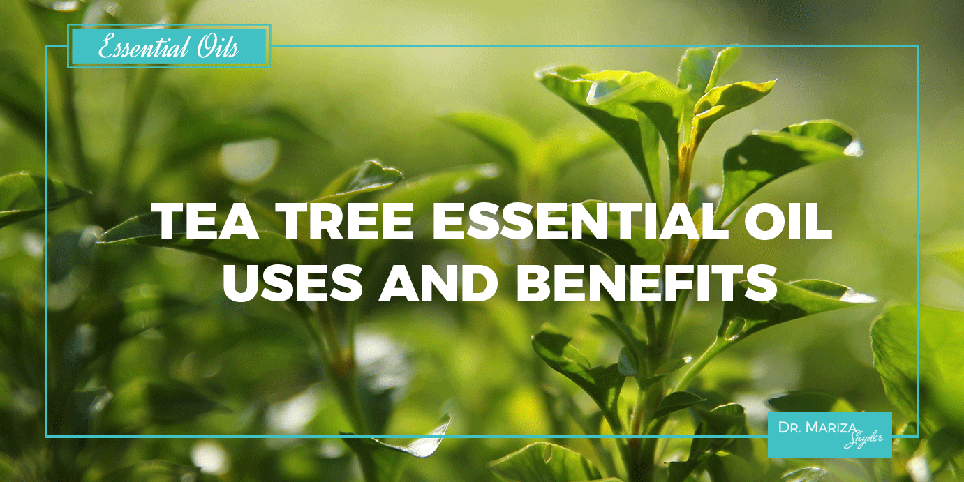 Melaleuca (Tea Tree) Essential Oil Uses & Benefits