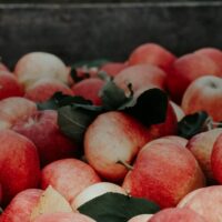 Top 5 Ways to Address Digestive Issues with Apple Cider Vinega